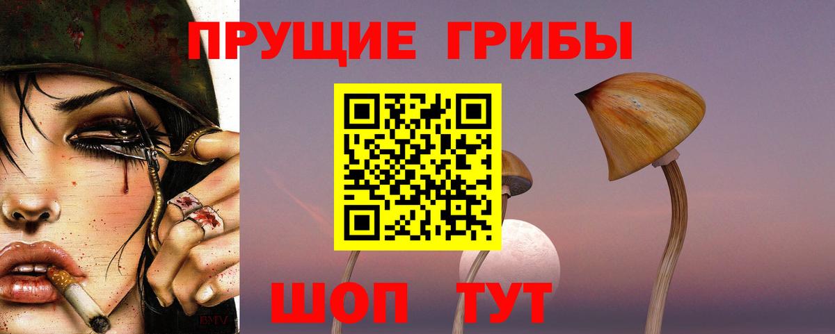 Ростов Великий  Галлюциногенные грибы прущие грибы  Псилоцибиновые грибы мухоморы  Вход с VPN 
